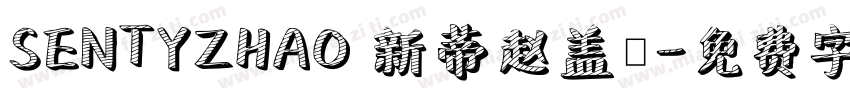 SENTYZHAO 新蒂赵盖頫字体转换